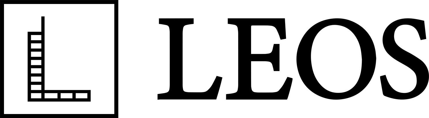Leos International Developments logo